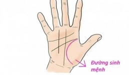 4 nét tướng của người yểu mệnh, vất vả, cẩn trọng thu ít hơn chi