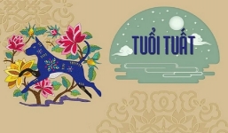 4 con giáp đầy hoan hỷ trong tháng 3: Sự nghiệp có, tiền bạc càng có