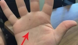 3 đường chỉ tay lộ rõ tướng làm quan: Có 1/3 ăn sung mặc sướng, là người có tài đức