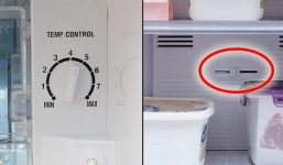 Mùa hè sắp tới, chỉnh ngay 2 nút này trên tủ lạnh là bạn đã tiết kiệm 1 khoản lớn tiền điện