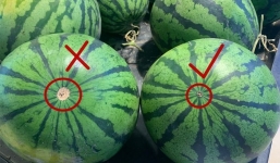 Chọn dưa hấu đừng vỗ mất công, chỉ cần nhìn 5 dấu hiệu trên vỏ là biết ngay ngon dở