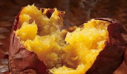 Ăn 1 củ khoai lang đúng 2 thời điểm vàng: Chị em vừa giảm cân lại ngừa ung thư vú