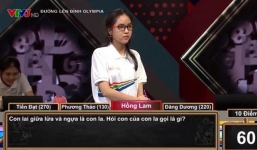 Câu hỏi Olympia: Con lai giữa con lừa và con ngựa là con la. Hỏi con của con la gọi là gì? Không phải ai cũng biết