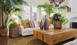 4 loại cây ‘khắc tinh’ của Thần Tài, đặt trong phòng bảo sao quanh năm nghèo khó