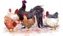 4 con giáp sống hào phóng nên bạn bè yêu quý: Càng tiêu càng kiếm được nhiều hơn