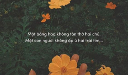 Stt hay về cuộc sống: Stt thay đổi cuộc đời của bạn, giúp những ai đang gặp khó khăn