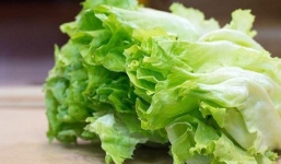 Cách phân biệt rau xà lách phun thuốc, làm sao để rửa rau xà lách không bị nát?