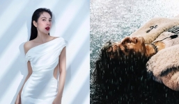 Showbiz 1/5: Thủy Tiên trở lại miền Trung, chi tiết 'lạ' sau khi Sơn Tùng tạm ngưng MV 'There’s no one at all'