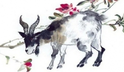 Từ ngày 5/5: 3 con giáp Thần Tài gõ cửa, tài lộc cuối cùng đã tới