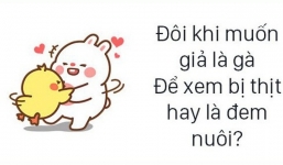 55 STT 'sống ảo' cực chất, cực hài, được chia sẻ nhiều nhất Facebook