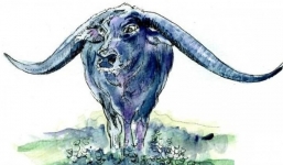 4 con giáp được ‘Thánh nhân đãi kẻ khù khờ’: Hóa nguy thành an nhờ ‘lành tính’