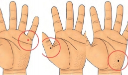4 vị trí nốt ruồi trên bàn tay báo hiệu nhân duyên viên mãn, tình duyên 10 điểm