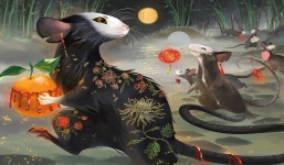 3 con giáp xui xẻo trong tử vi tuần từ 16/5 - 22/5/2022: Làm điều gì cũng phải cân nhắc