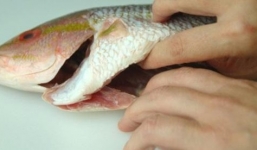 5 bộ phận của cá chứa nhiều ký sinh trùng, độc tố mà nhiều người vô tư ăn phải