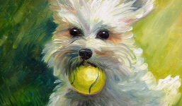 Tử vi tuần 23/5 - 29/5/2022 của 12 con giáp: 3 con giáp cẩn trọng kẻo ‘bùng nổ’