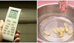 Đừng đặt chậu nước trong phòng điều hòa: Đổi sang thứ này, da đảm bảo không khô nẻ