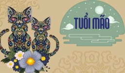 Tuần 13/6 – 19/6/2022, 3 con giáp gặp hung - cát đan xen: Mùi gặp rắc rối to?