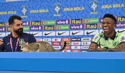 Video: 'Vị khách không mời' làm gián đoạn buổi họp báo của tuyển Brazil và cái kết
