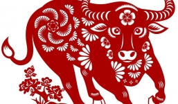 Tết Nguyên đán 2023: Tuổi Sửu xuất hành ngày nào, hướng nào để rước vận may cho cả năm?