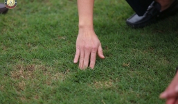 V-League 2023 tạm nghỉ, một đội bóng quyết định tu sửa lại mặt sân