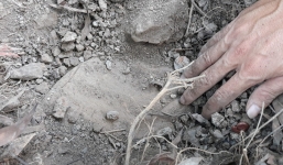 Cập nhật vụ 300 thi thể thai nhi ở nhà máy rác: Giám định là xương người