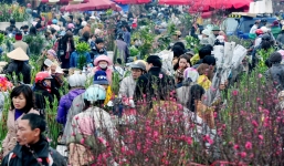 Dự báo thời tiết ngày 28 Tết Nguyên đán: Nhiệt độ tăng, miền Bắc ấm dần