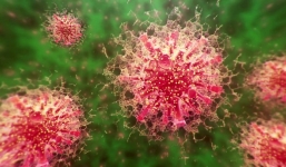 3 bí ẩn chưa giải mã về Covid-19: Số 3 vẫn khiến các nhà khoa học đau đầu