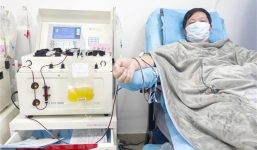 Việt Nam nghiên cứu dùng huyết tương người khỏi Covid-19 để chữa trị ca bệnh nặng