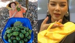 Lý Nhã Kỳ khoe cuộc sống ‘chân lấm tay bùn’, đi dép lào, mặc đồ mua ở chợ