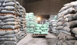 Tạm đình chỉ công tác 7 cục trưởng liên quan đến sai phạm trong dự trữ gạo quốc gia