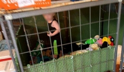 Bé trai 18 tháng tuổi bị mẹ nhốt trong chuồng chó cùng với 8 con rắn