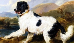 4 con giáp được Thần tài che chở trong 6 tháng tới: Tuất, Mùi đón vượng quý nhân