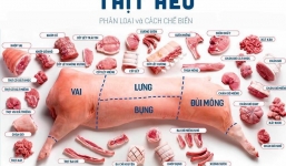 1 bộ phận từ lợn nhiều người coi là đồ thải nhưng lại giúp làm đẹp da, chữa bệnh