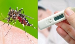 TP.HCM: Bệnh sốt xuất huyết có diễn biến ngày càng phức tạp