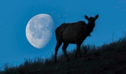 Đừng bỏ lỡ siêu trăng đẹp nhất năm vào tối 13/7