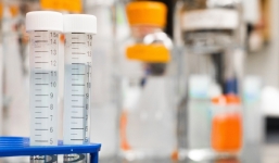 WHO tuyên bố bùng phát virus mới, tỷ lệ tử vong tới 88%