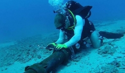 2 tuyến cáp quang biển quan trọng nhất của Việt Nam bị lỗi chưa sửa xong