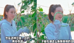 Bỏ phố về quê, 'Tình Nhi' Vương Diễm lại bị Cnet soi chi tiết 'làm màu', giả tạo