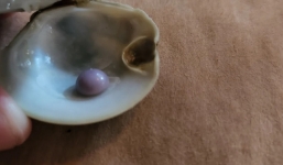 Người đàn ông may mắn nhai trúng ngọc trai khi đi ăn hàng