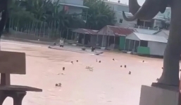 'Địa ngục trần gian' tại Campuchia mà 42 người Việt đã trải qua trước khi trốn về nước