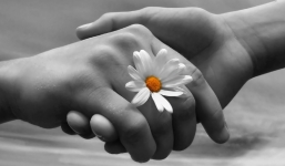 3 con giáp nổi tiếng bao dung, ai yêu được sẽ vô cùng hạnh phúc