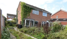 Chủ nhà bị phạt 35 triệu đồng vì để cỏ dại mọc um tùm trong vườn khiến hàng xóm khó chịu