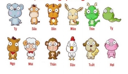 Tử vi 12 con giáp ngày 29/9/2022:Tuổi Dần bị ghen, Tuổi Thìn vận số thăng hoa