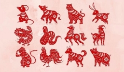 Tử vi 12 con giáp ngày 30/9/2022:Tuổi Mão gặp tiểu nhân, Tuổi Mùi đen đủ đường nhưng đỏ tình cảm