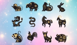 Tử vi 12 con giáp ngày 1/10/2022: Tuổi Tý đừng hấp tấp, Tuổi Tuất tương đối vất vả