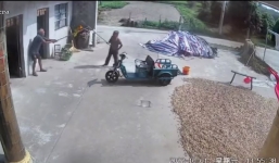 Cụ ông 83 tuổi và cụ bà 79 tuổi 'tả xung hữu đột' vì không ai chịu rửa bát