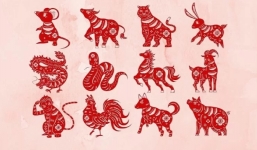 Tử vi 12 con giáp ngày 4/10/2022: Tuổi Mão hung cát đan xen, Tuổi Tỵ gặp tiểu nhân