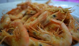 Ăn tôm mà bỏ bộ phận này, bạn đang lãng phí nguồn dưỡng chất tuyệt vời