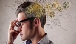 Sở hữu cái đầu lạnh, 4 con giáp này không bao giờ sợ sập bẫy kẻ lừa đảo