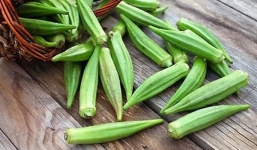 Những ai không nên ăn đậu bắp?